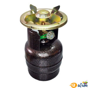 قیمت-و-خرید-پیک-نیکی-1-کیلویی