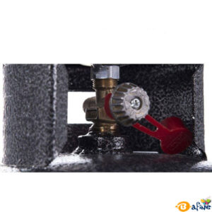 قیمت-و-خرید-پیک-نیکی-1-کیلویی3